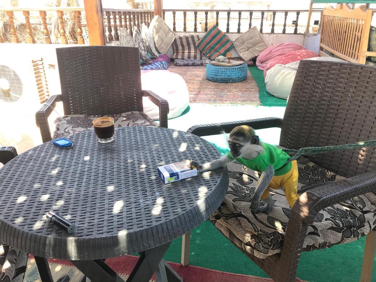 Gina Motel Dahab Ngoại thất bức ảnh